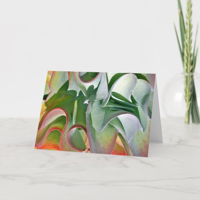 Flapjackväxten noterar kortet av Debra Lee Baldwin Kort (Framsida)