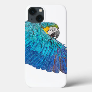 Flappa Blue och Gult Macaw