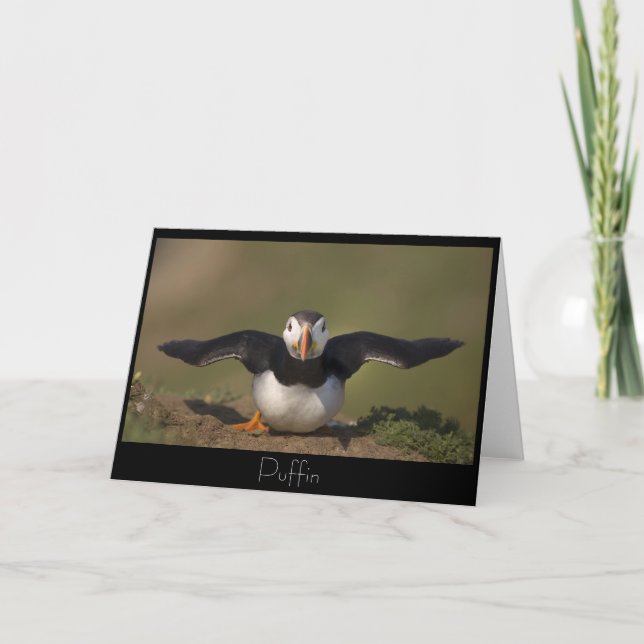 Flappande Puffin Kort (Framsida)