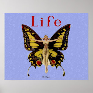 Flapper Butterfly Flies Woman Illustration Poster