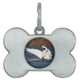 Flapping Svan ID-bricka Husdjur