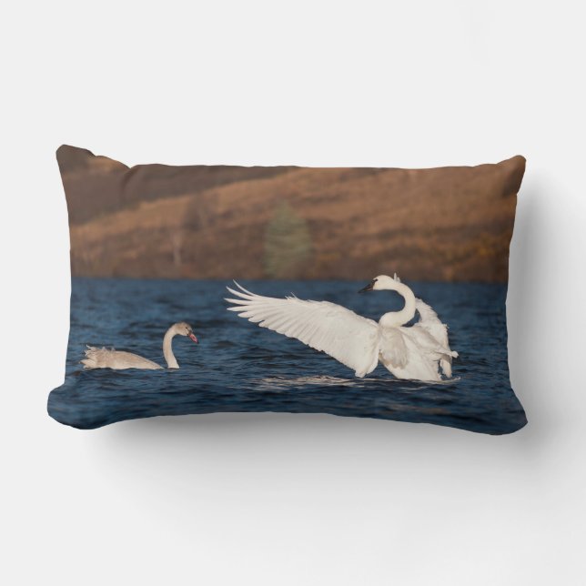 Flapping Svan Lumbarkudde (Framsida)