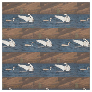 Flapping Svan Tyg