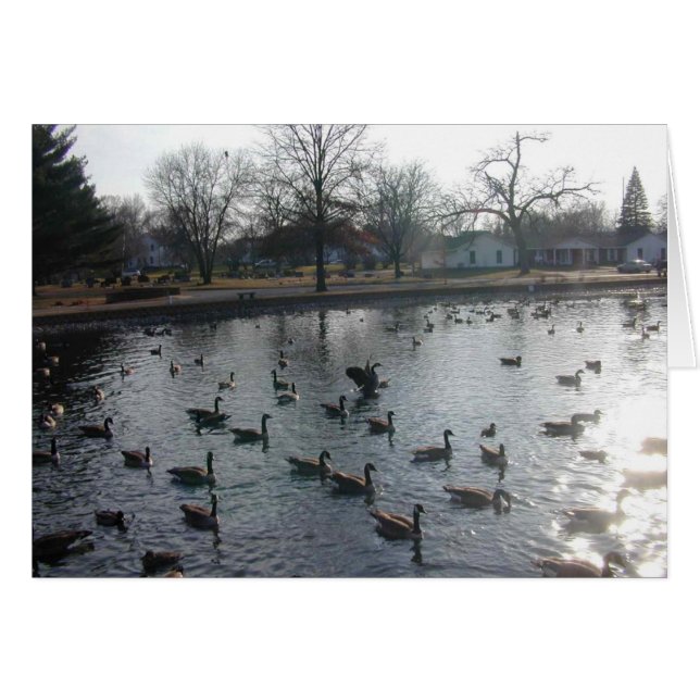 Flappinggåskort Hälsningskort (Framsidan Horizontal)