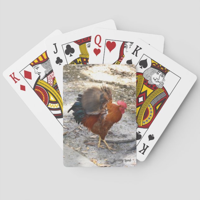 Flappkort för Tupp Casinokort (Baksidan)