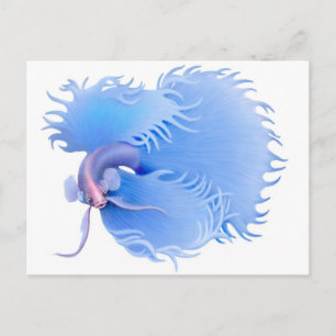 Flaring Betta Splendens vykort