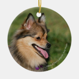 Flåsa för Pomeranian Headshot Julgransprydnad Keramik
