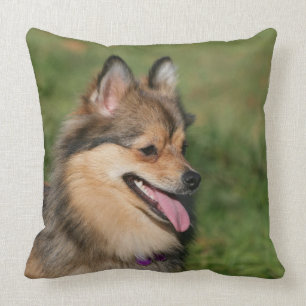 Flåsa för Pomeranian Headshot Kudde