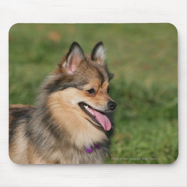 Flåsa för Pomeranian Headshot Musmatta (Framsidan)