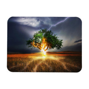 flash-845848 FANTASY BACKGRO STREJKA TRÄD BACKGRO Magnet