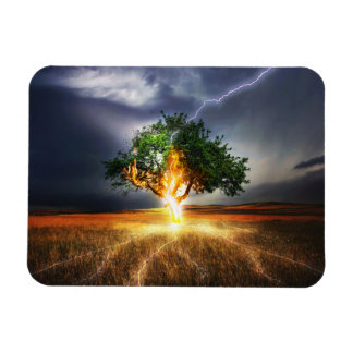 flash-845848 FANTASY BACKGRO STREJKA TRÄD BACKGRO Magnet