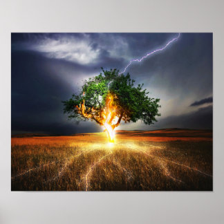 flash-845848 FANTASY BACKGRO STREJKA TRÄD BACKGRO Poster