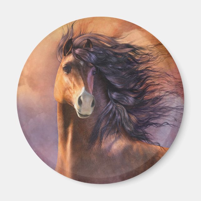 Flash Magnet (Framsidan)