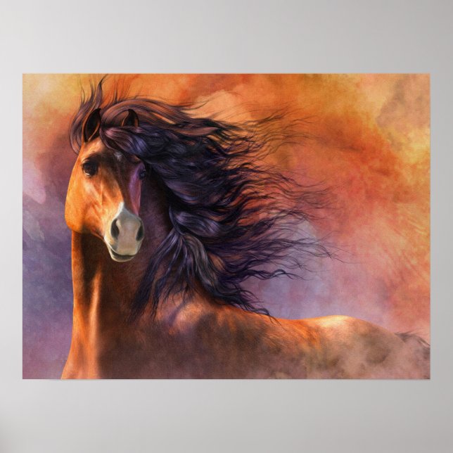 Flash-Poster Poster (Framsidan)