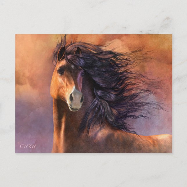 Flash-vykort Vykort (Framsida)