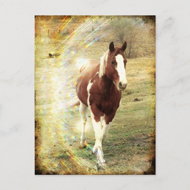 Flashig Vykort (Framsida)