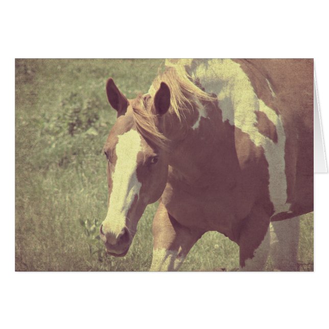 Flashy Faux Vintage Hälsningskort (Framsidan Horizontal)