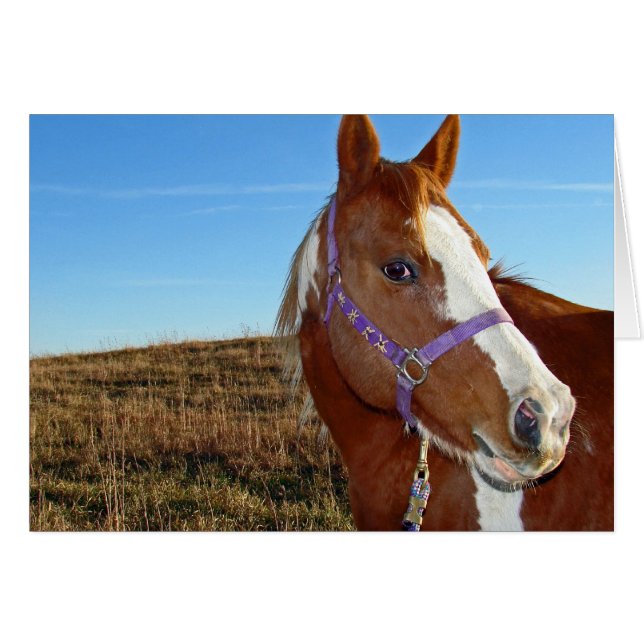 Flashy i Nebraka Hälsningskort (Framsidan Horizontal)