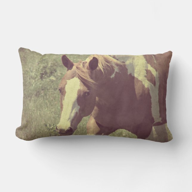 Flashy Lumbarkudde (Framsida)