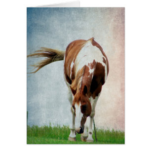 Flashy Paint Horse Mare Hälsningskort