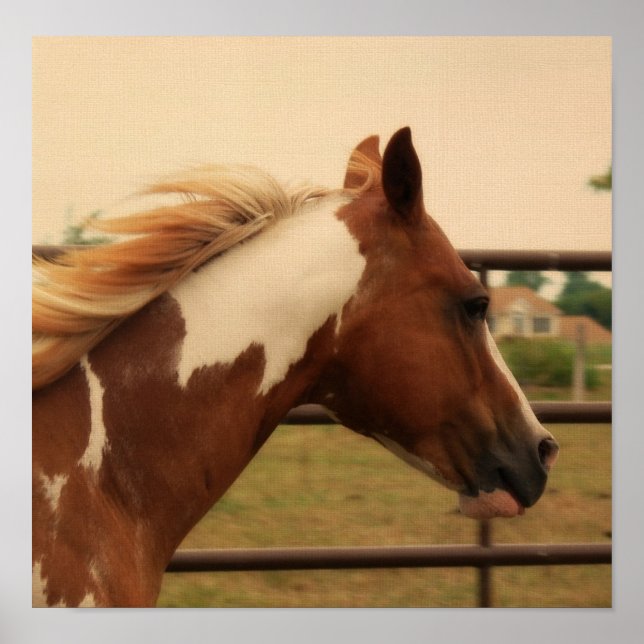 Flashy Poster (Framsidan)