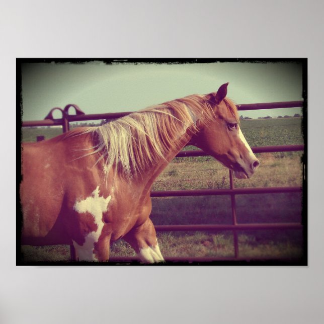 Flashy Poster (Framsidan)