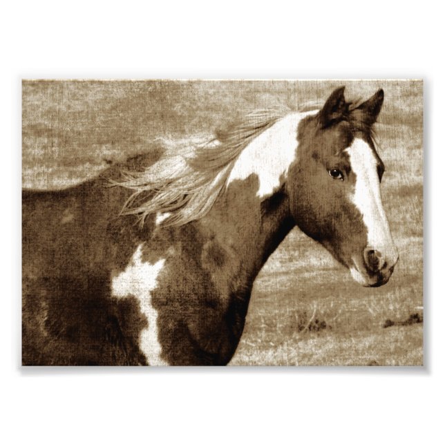 Flashy Tobinano Mare Sepia Fototryck (Framsidan)