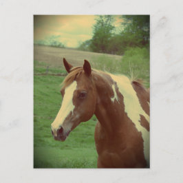 Flashy Vintage Vykort