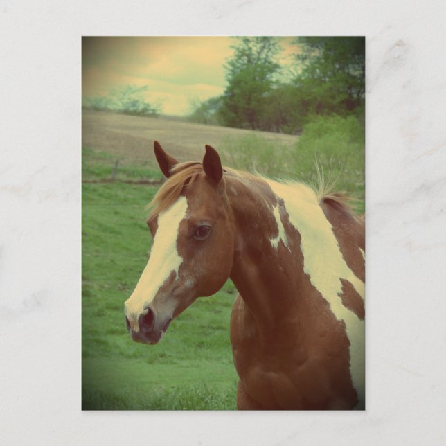 Flashy Vintage Vykort (Framsida)