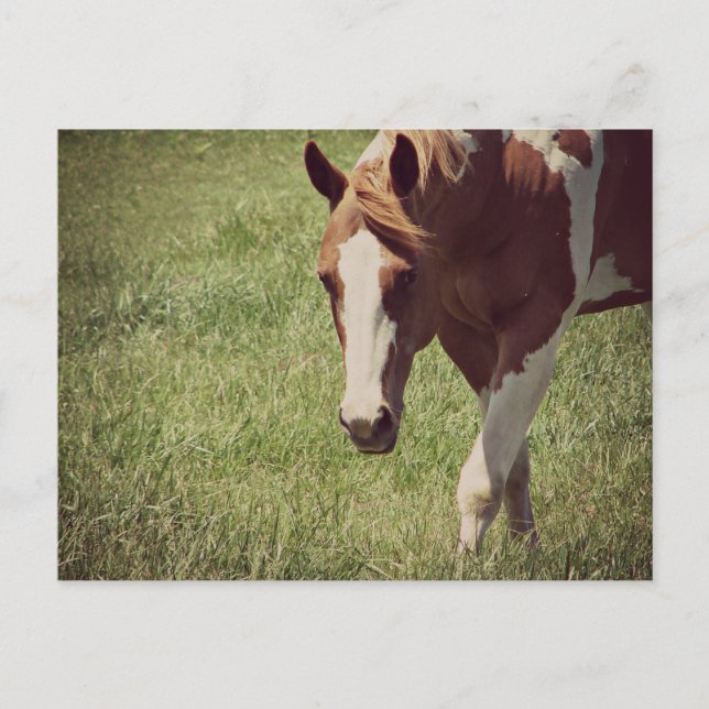 Flashy Vykort (Framsida)