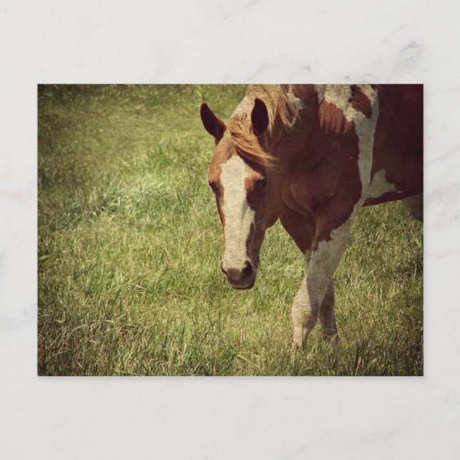 Flashy Vykort (Framsida)