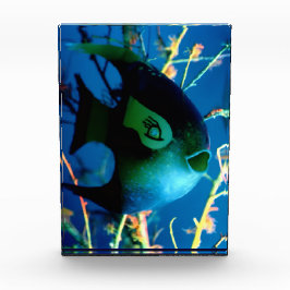 Flaska Fish Gibney Museum Zazzle