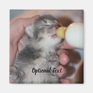 Flaska Matande nyfödd Rädding Tabby Kitten Magnet