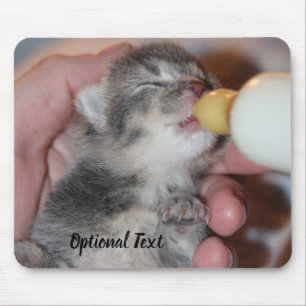 Flaska Matande nyfödd Rädding Tabby Kitten Musmatta
