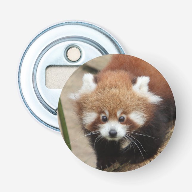 flaska-öppnare Fotoröd panda, djur 0108. Flasköppnare (Framsidan)