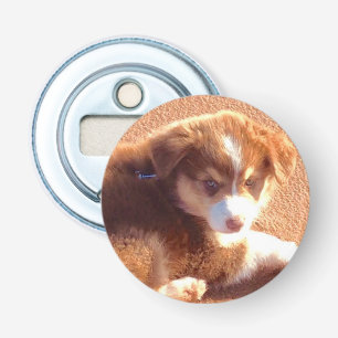 Flaska-öppnare med foto-Australian shepherd-valp Flasköppnare