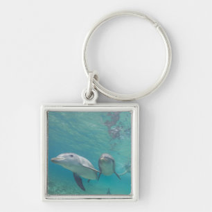 Flaskdelfiner Tursiops truncatus Fyrkantig Silverfärgad Nyckelring