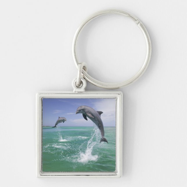Flaskdelfiner Tursiops truncatus Fyrkantig Silverfärgad Nyckelring (Framsidan)