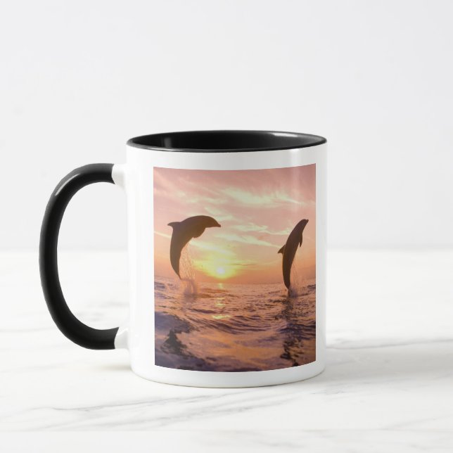 Flaskdelfiner Tursiops truncatus Mugg (Vänster)