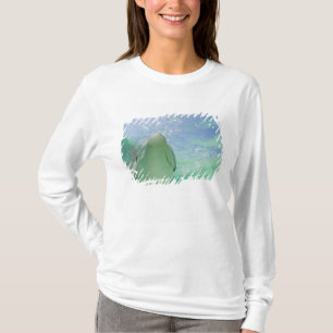 Flaskdelfiner (Tursiops truncatus) Tee