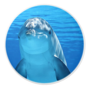 Flaskhalsar Dolphin tittar på kameran under vatte Knopp