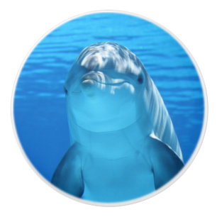 Flaskhalsar Dolphin tittar på kameran under vatten Knopp