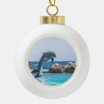 Flasknosdelfin