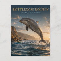 Flasknosdelfin Kusthav DJUR