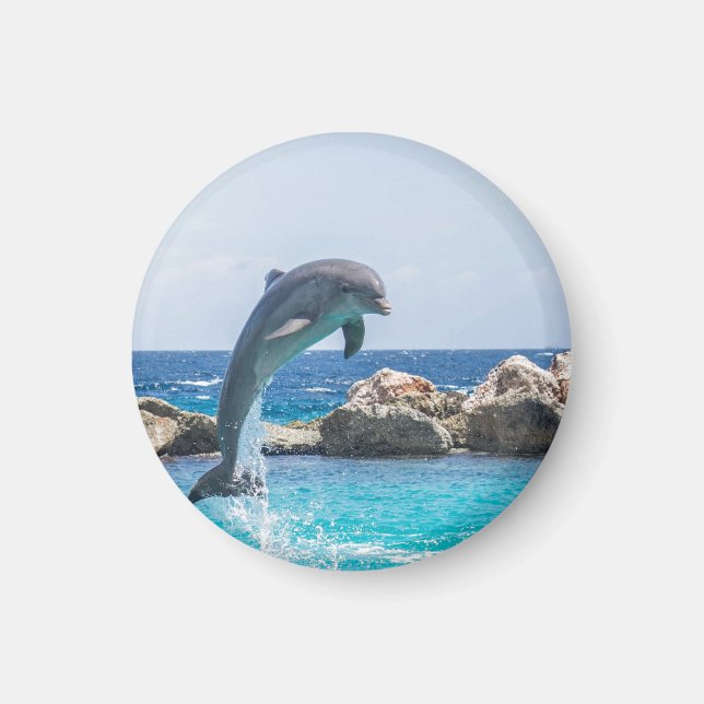 Flasknosdelfin Magnet (Framsidan)