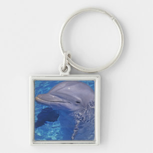 Flasknosdelfin, Tursiops Truncatus Fyrkantig Silverfärgad Nyckelring