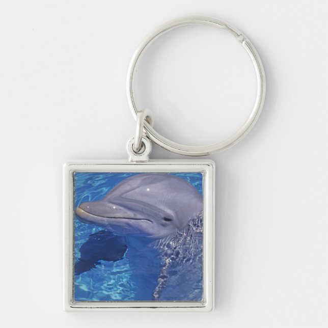 Flasknosdelfin, Tursiops Truncatus Fyrkantig Silverfärgad Nyckelring (Framsidan)