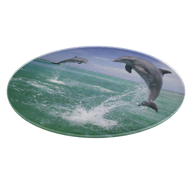 Flasknosdelfiner Tursiops truncatus (Hörn)