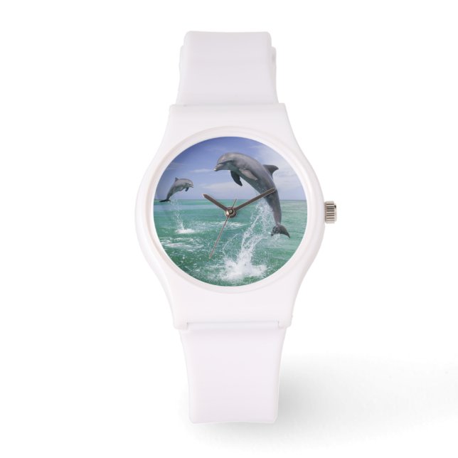 Flasknosdelfiner Tursiops truncatus Armbandsur (Framsida)