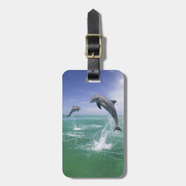 Flasknosdelfiner Tursiops truncatus Bagagebricka (Vertikal Framsida)